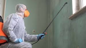 Why You Should Choose Our Mold Remediation Services in Placeholder9